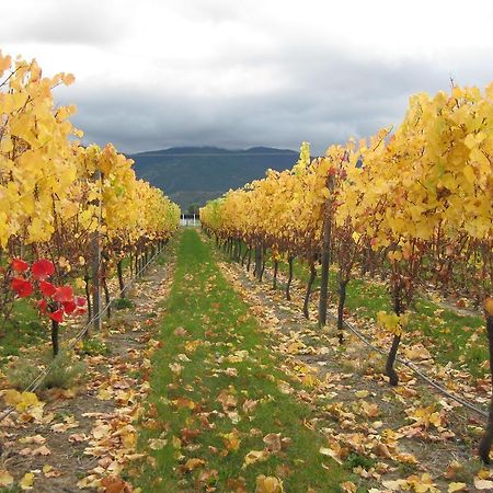 Korohi Vineyard BnB Blenheim Dış mekan fotoğraf